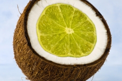 lime-in-the-coconut